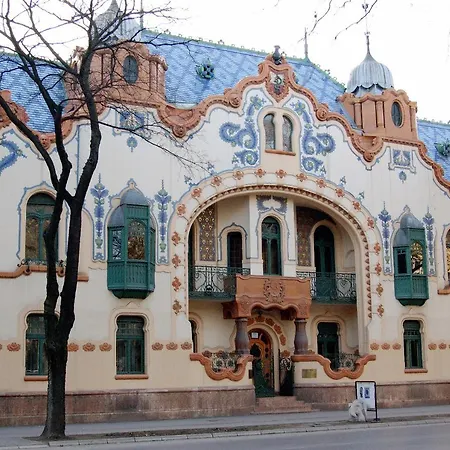 Dandd 1 Subotica