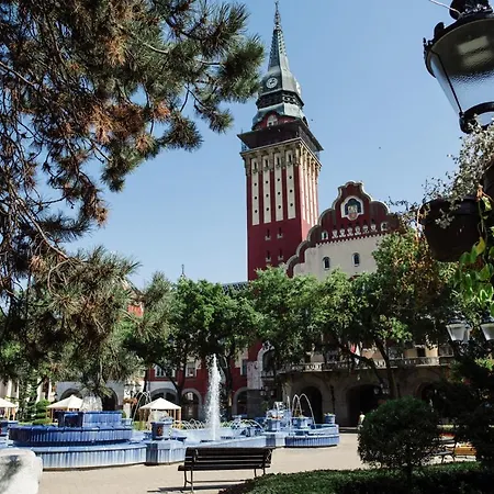Dandd 1 Subotica